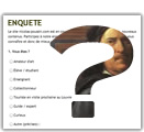 Enquête sur le site nicolas-poussin.com